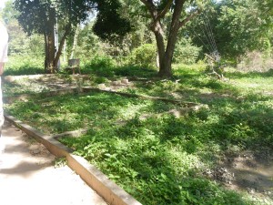P1020091